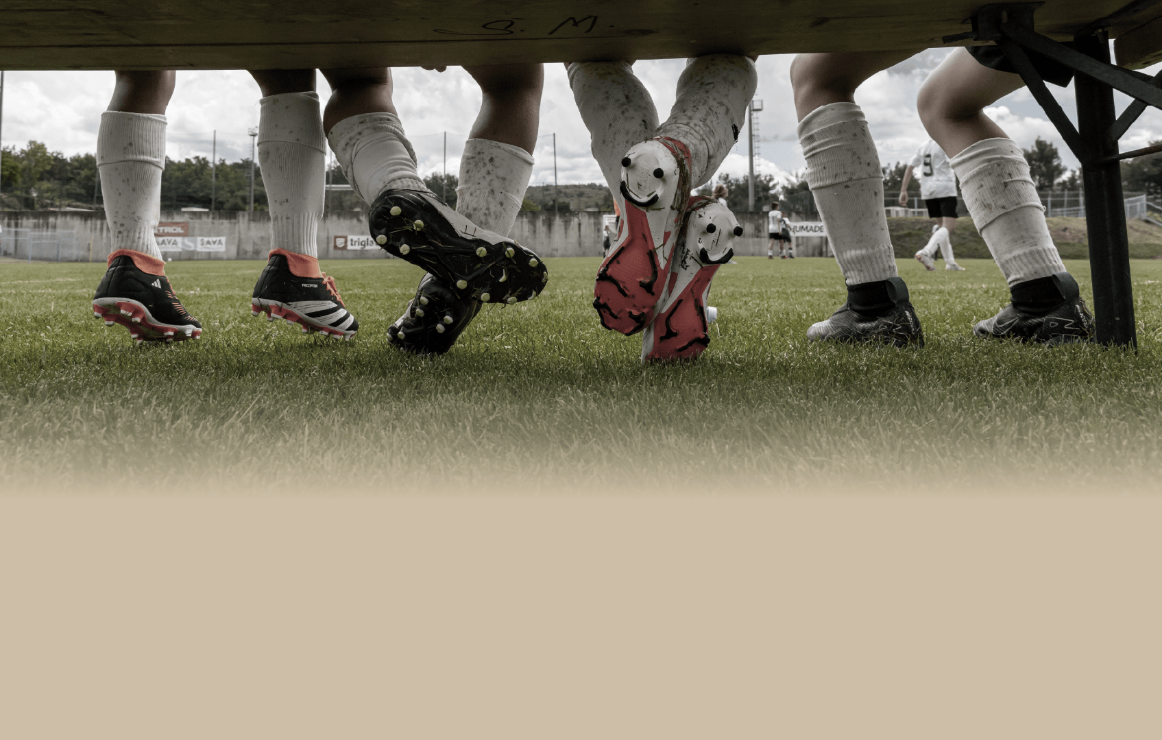 Tlsports pics bench gradiant